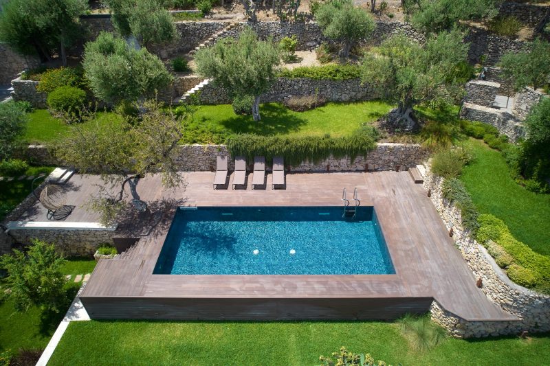 Piante ornamentali per la piscina_ulivo