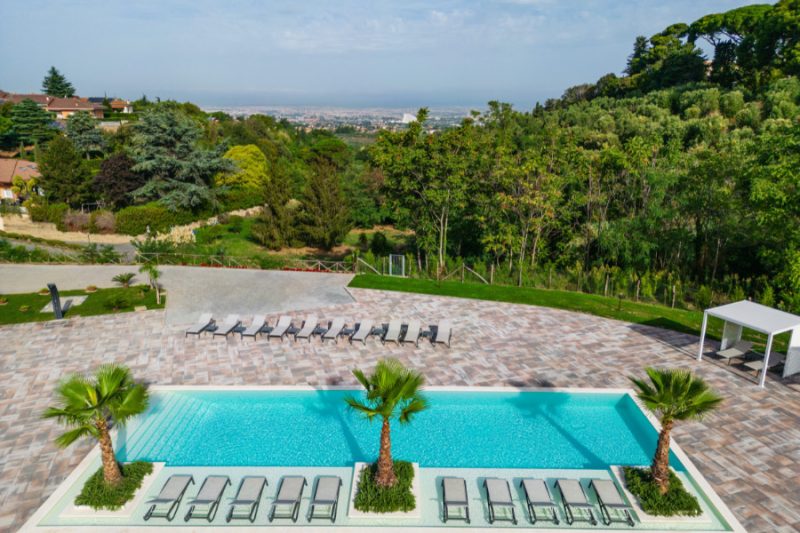 piante ornamentali per la piscina_palme