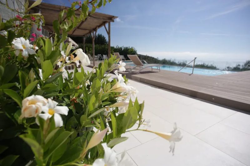 Piante ornamentali per la piscina_esempio