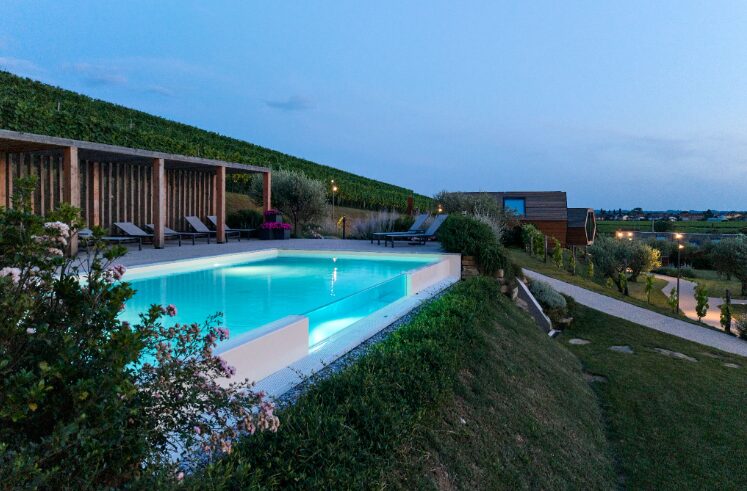 Piante utilizzate per abbellire il giardino