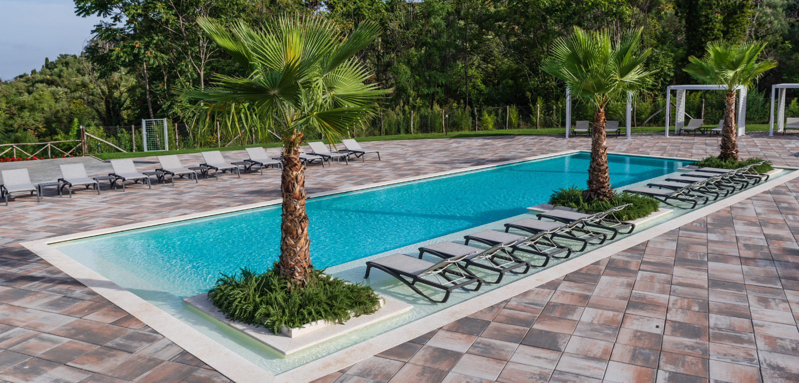 Foto di piscina di Hotel con palme